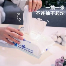 润荷卫生湿巾60片 杀菌消毒湿巾卫生除菌 比酒精湿巾更亲肤 婴儿儿童成人可用 60片*5包