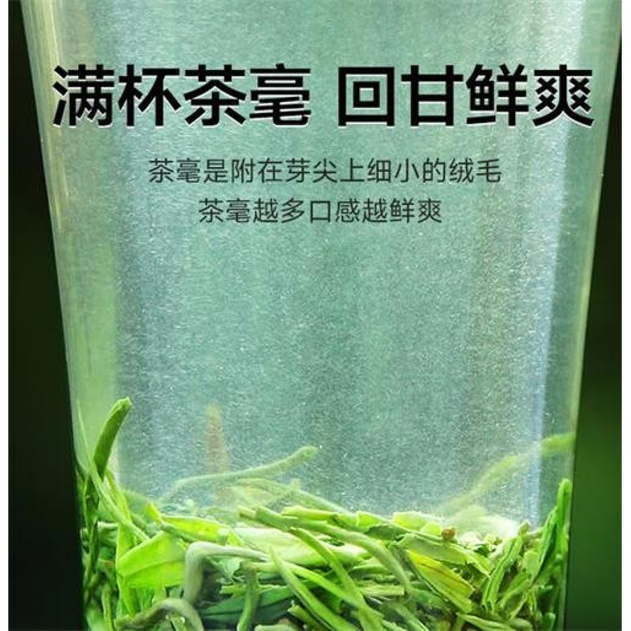 特级毛尖茶叶绿茶2025明前春茶礼盒装250g